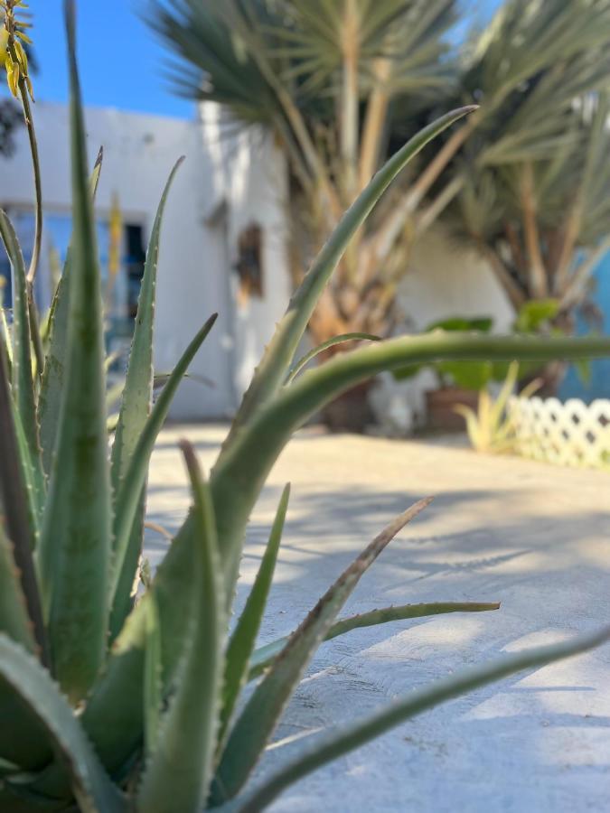 مبيت وإفطار Dici Co-Living Housing كابو سان لوكاس المظهر الخارجي الصورة