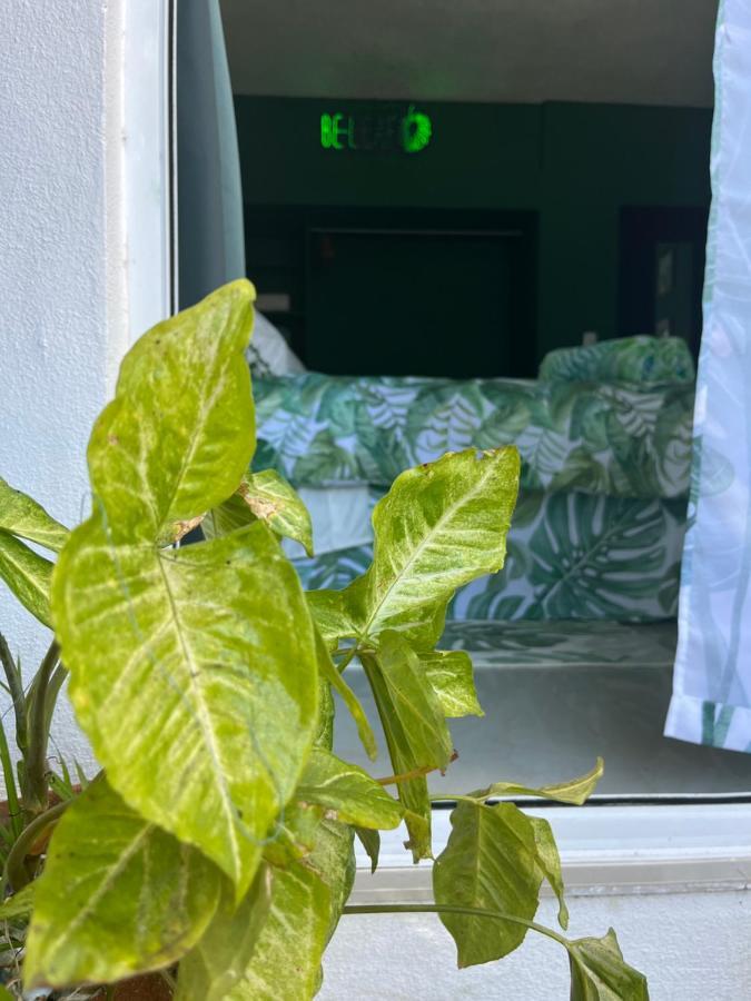 مبيت وإفطار Dici Co-Living Housing كابو سان لوكاس المظهر الخارجي الصورة