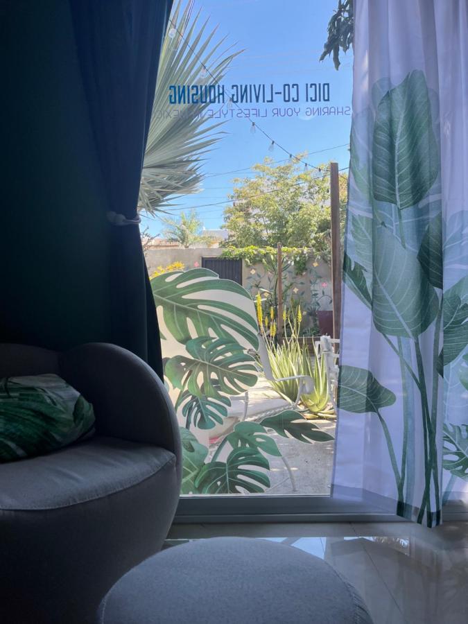 مبيت وإفطار Dici Co-Living Housing كابو سان لوكاس المظهر الخارجي الصورة